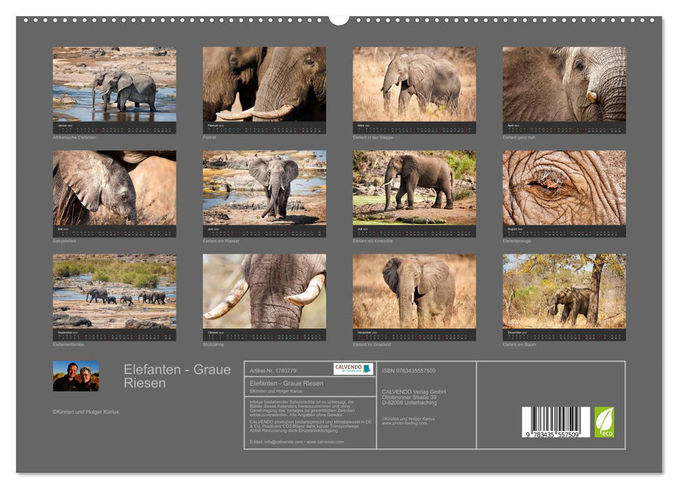 Elefanten - Graue Riesen (CALVENDO Premium Wandkalender 2025)