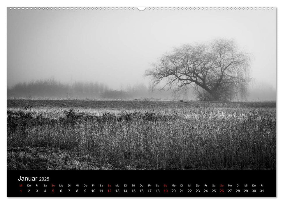 Monochrom 2025 (CALVENDO Premium Wandkalender 2025)