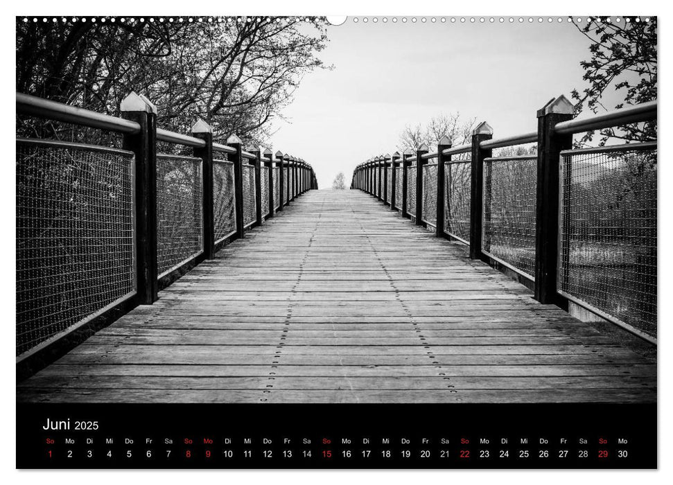 Monochrom 2025 (CALVENDO Premium Wandkalender 2025)