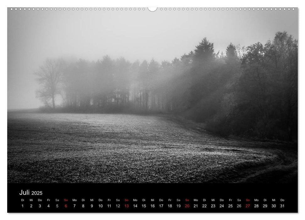 Monochrom 2025 (CALVENDO Premium Wandkalender 2025)