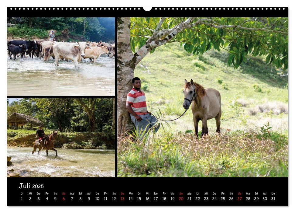 Dominikanische Republik Land & Leute (CALVENDO Premium Wandkalender 2025)