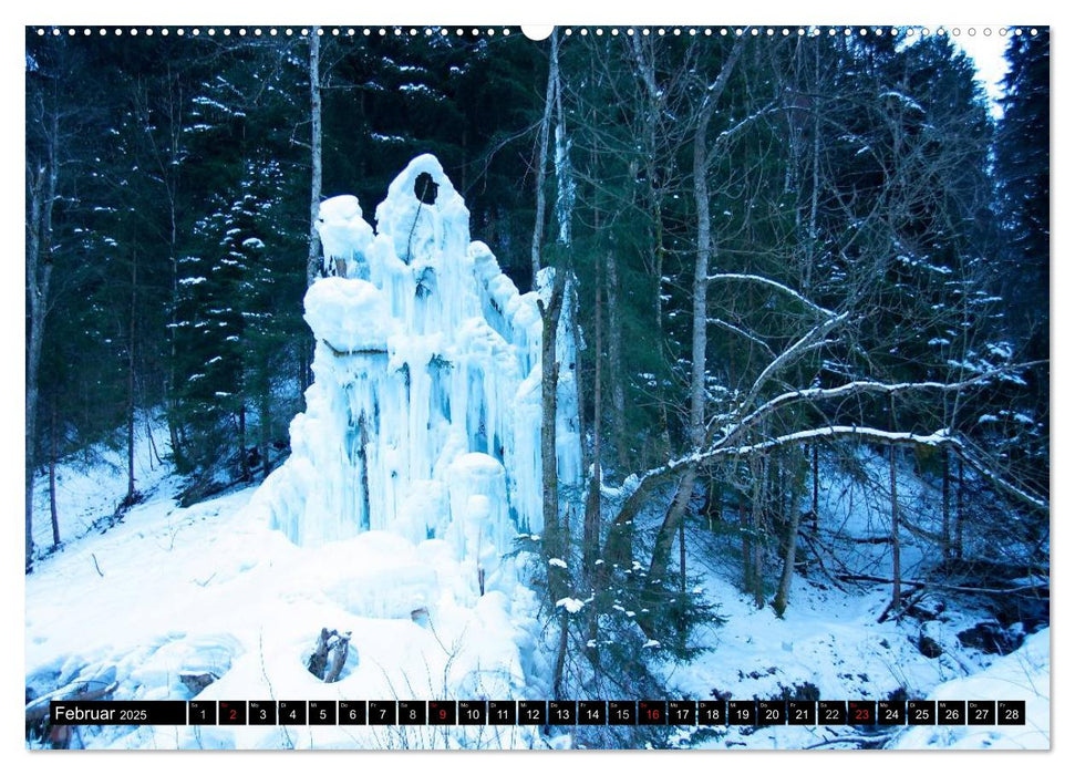 Natur am Tegernsee (CALVENDO Premium Wandkalender 2025)