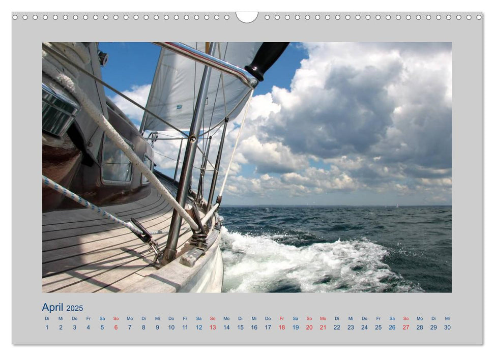 Maritimes und Meer (CALVENDO Wandkalender 2025)