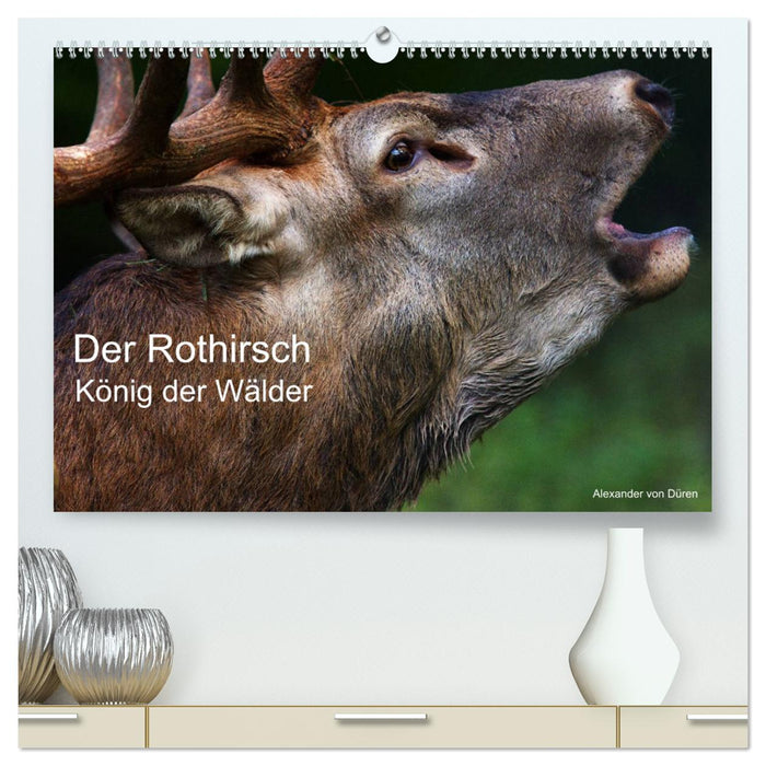 Der Rothirsch, König der Wälder (CALVENDO Premium Wandkalender 2025)