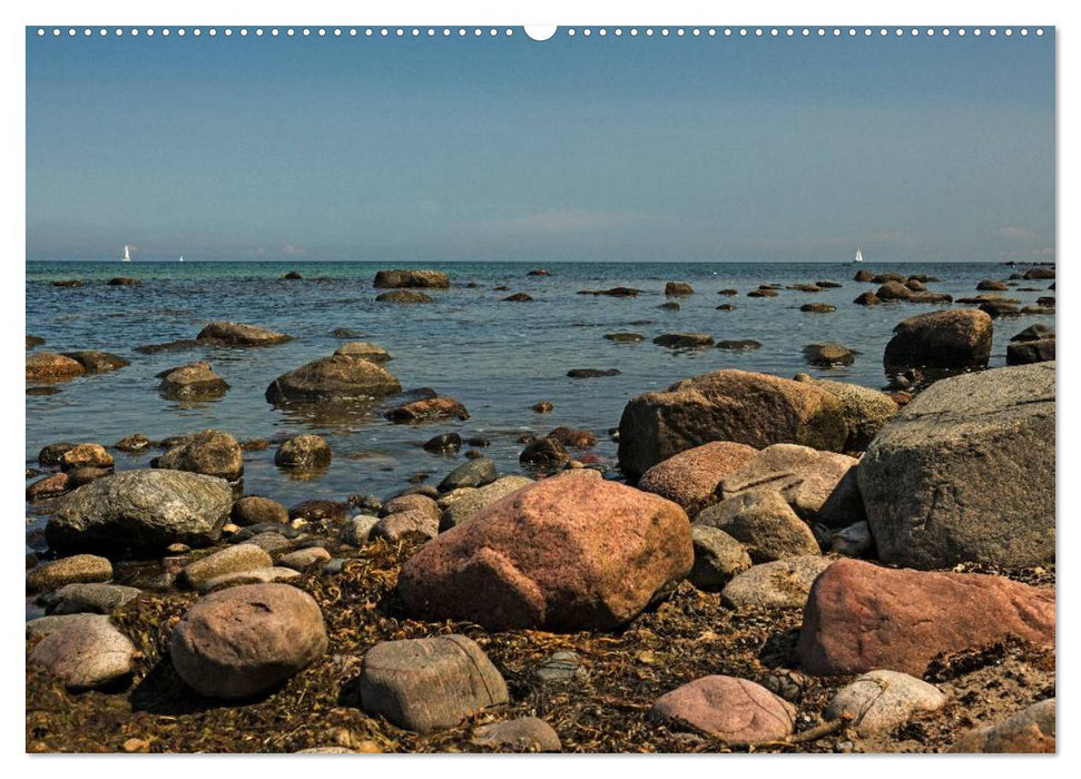 Urlaubsparadies Rügen (CALVENDO Premium Wandkalender 2025)