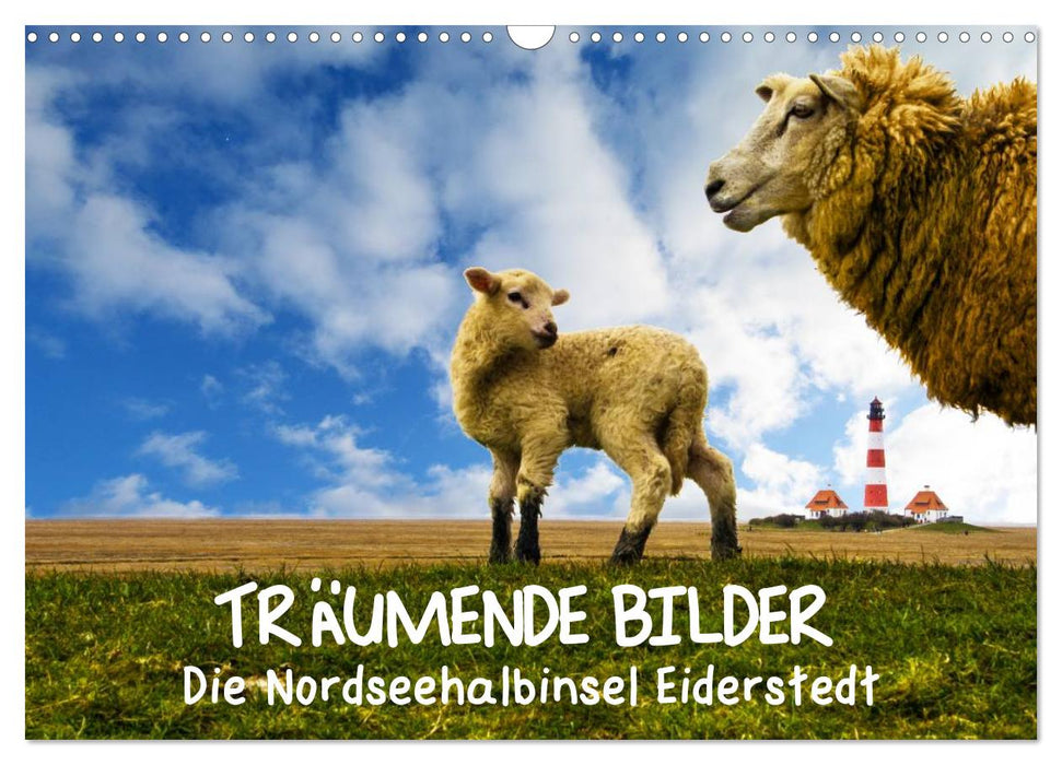 Träumende Bilder - Die Nordseehalbinsel Eiderstedt (CALVENDO Wandkalender 2025)