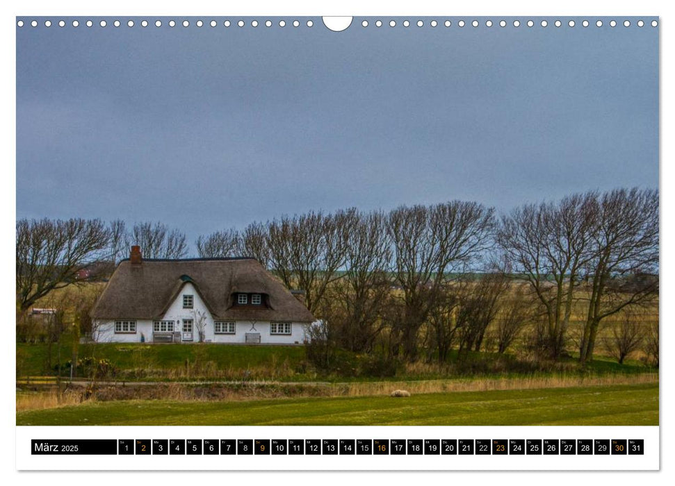 Träumende Bilder - Die Nordseehalbinsel Eiderstedt (CALVENDO Wandkalender 2025)