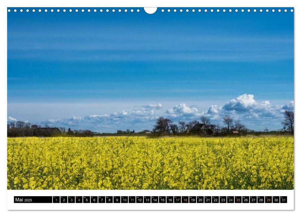 Träumende Bilder - Die Nordseehalbinsel Eiderstedt (CALVENDO Wandkalender 2025)