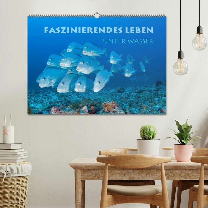 Faszinierendes Leben unter Wasser (CALVENDO Wandkalender 2025)