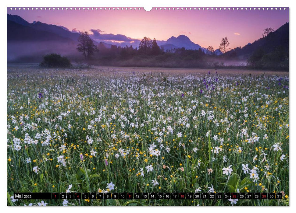 Nationalpark Gesäuse (CALVENDO Premium Wandkalender 2025)