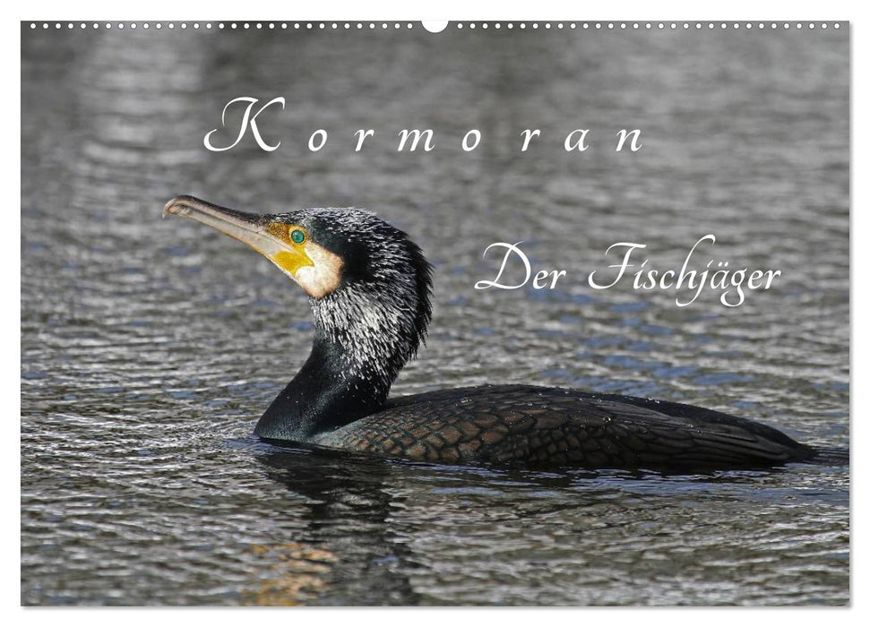 Kormoran. Der Fischjäger (CALVENDO Wandkalender 2025)