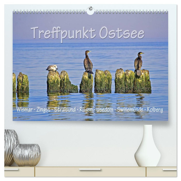 Treffpunkt Ostsee (CALVENDO Premium Wandkalender 2025)