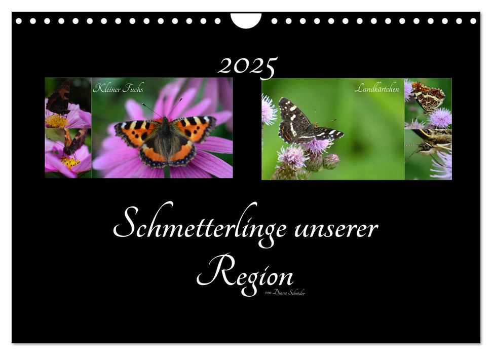 Schmetterlinge unserer Region (CALVENDO Wandkalender 2025)