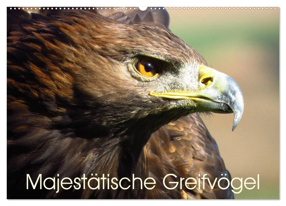 Majestätische Greifvögel (CALVENDO Wandkalender 2025)