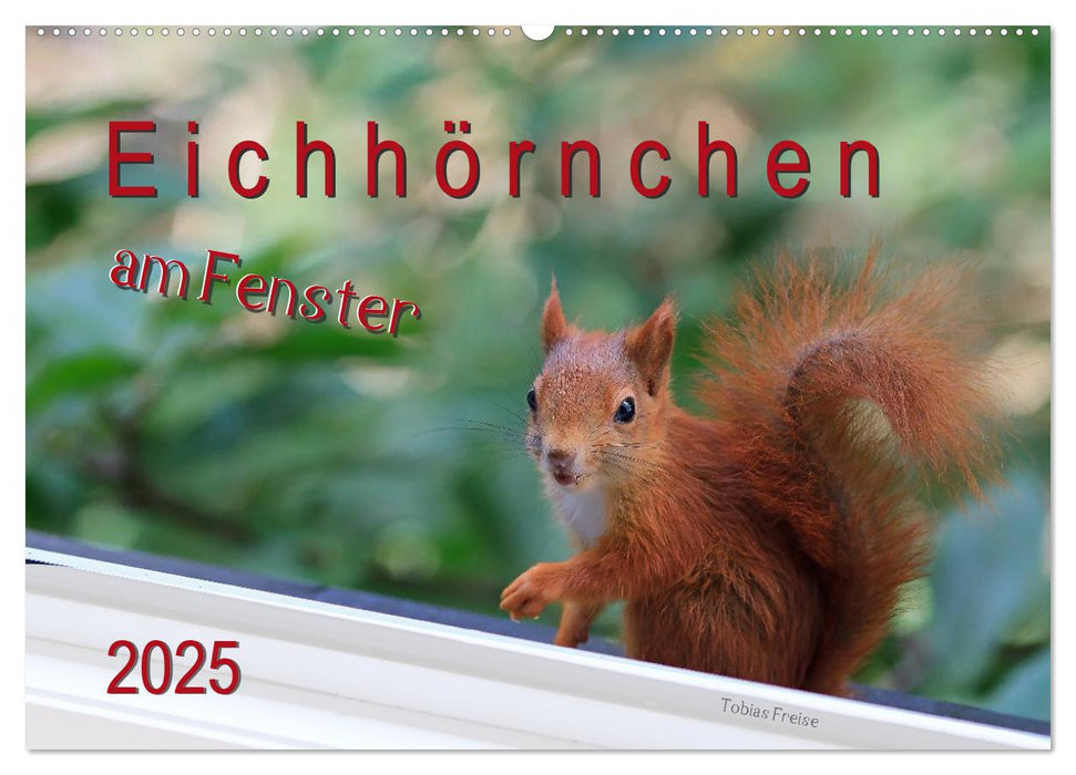 Eichhörnchen am Fenster (CALVENDO Wandkalender 2025)