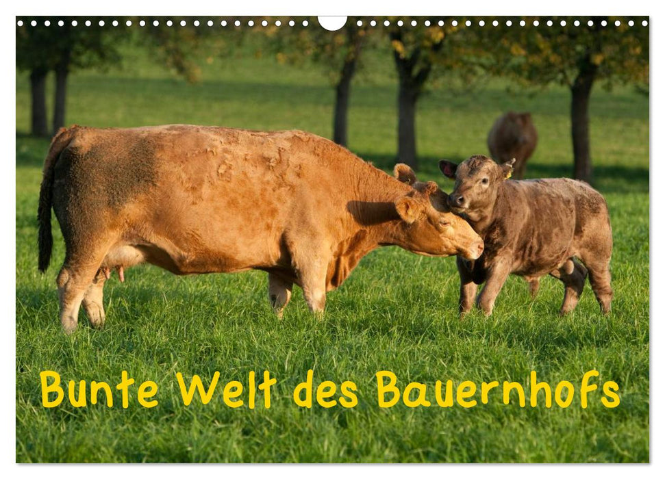 Bunte Welt des Bauernhofs (CALVENDO Wandkalender 2025)