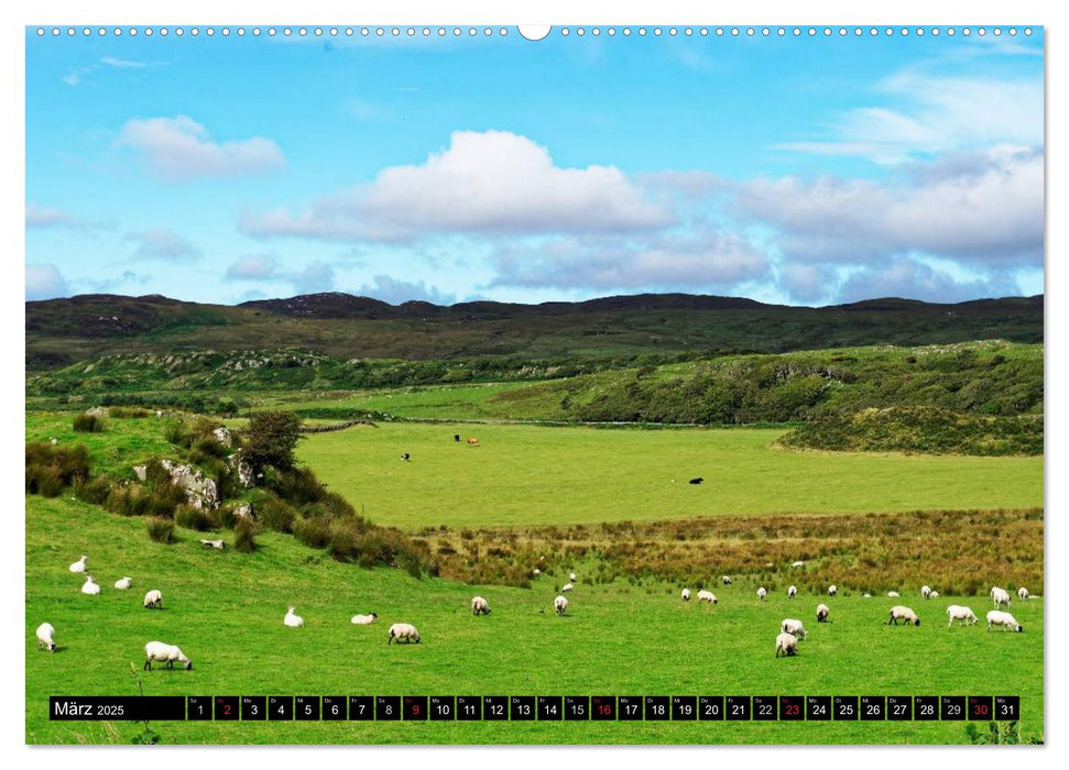 Islay und das "Wasser des Lebens" (CALVENDO Premium Wandkalender 2025)