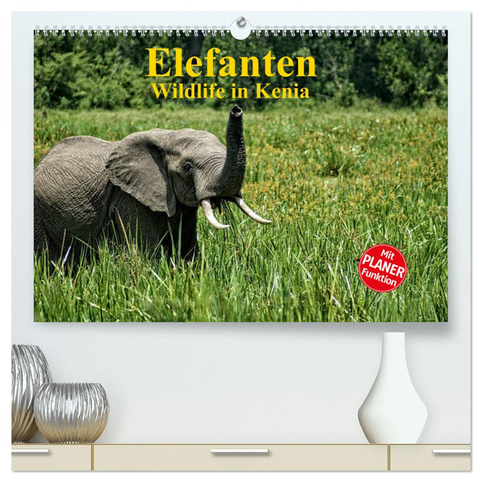 Elefanten . Wildlife in Kenia (CALVENDO Premium Wandkalender 2025)