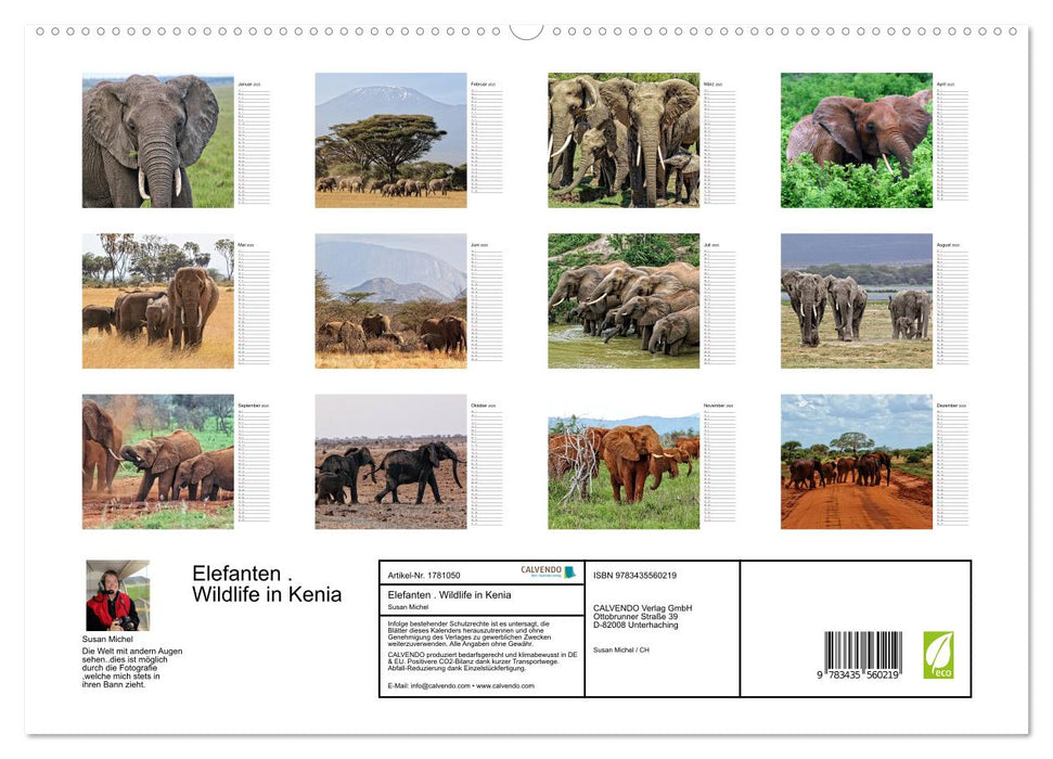 Elefanten . Wildlife in Kenia (CALVENDO Premium Wandkalender 2025)