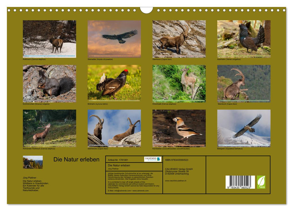 Die Natur erleben (CALVENDO Wandkalender 2025)