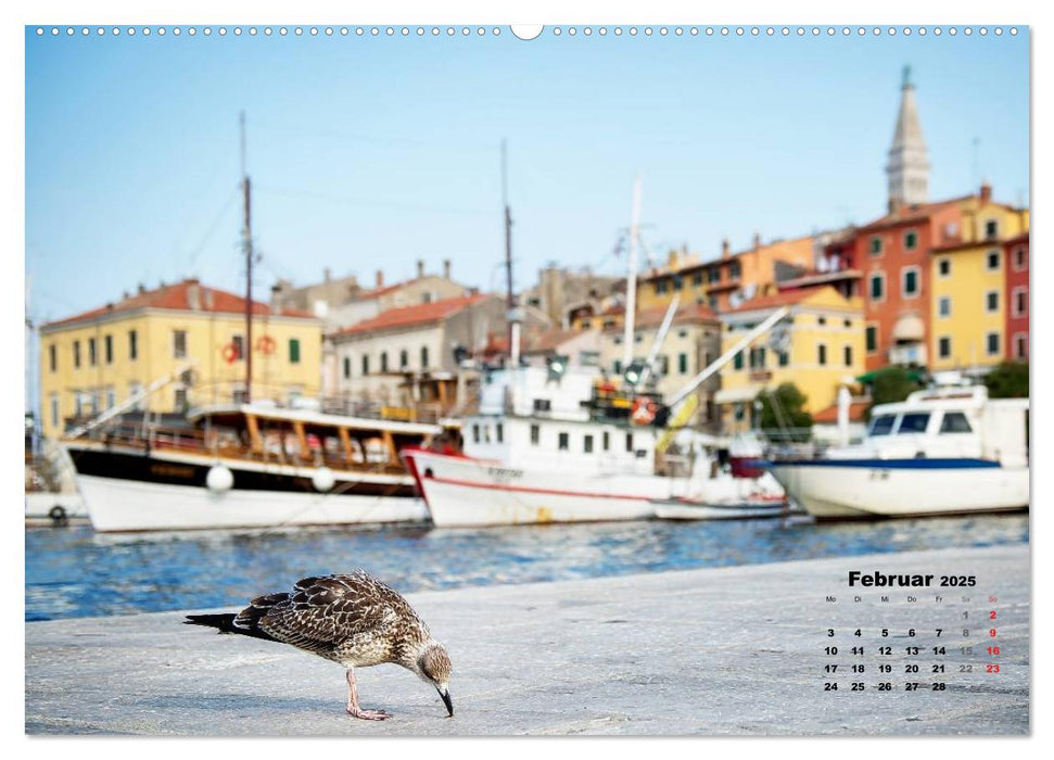 Wie ein Vogel in Rovinj! (CALVENDO Premium Wandkalender 2025)