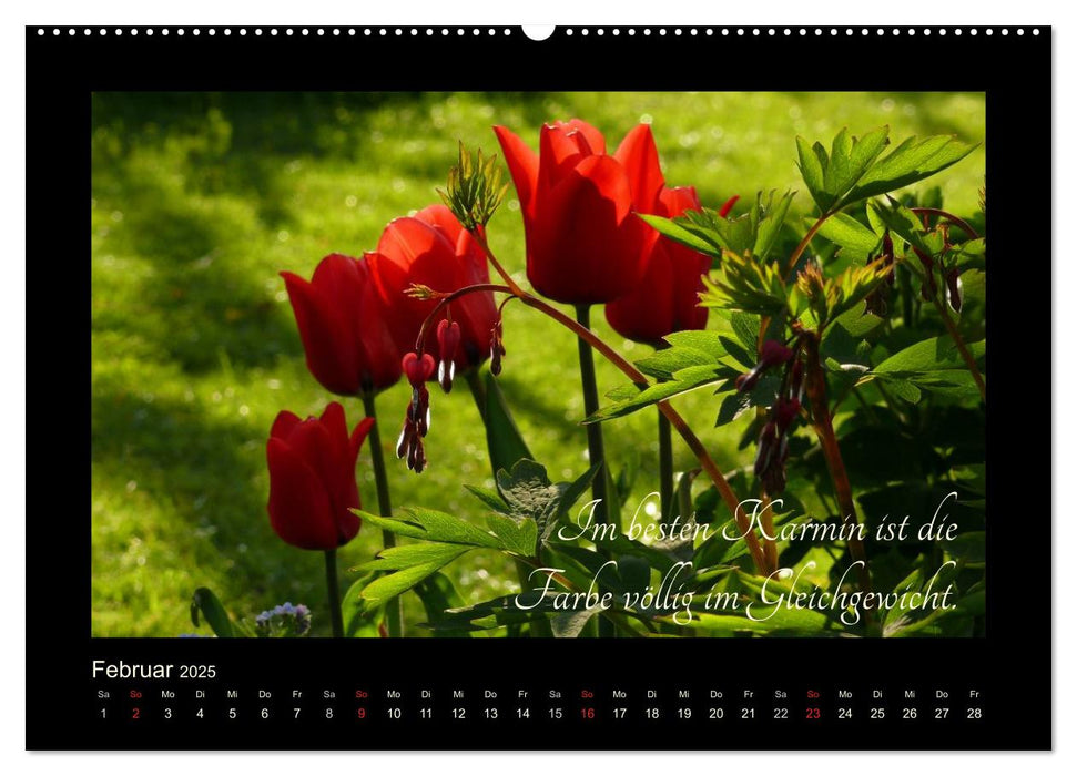 Goethes Rot. Gedanken zur Farbe (CALVENDO Premium Wandkalender 2025)