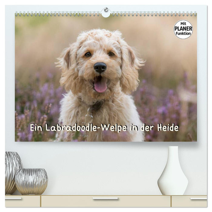 Ein Labradoodle-Welpe in der Heide (CALVENDO Premium Wandkalender 2025)