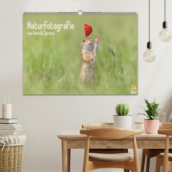 Naturfotografie (CALVENDO Wandkalender 2025)