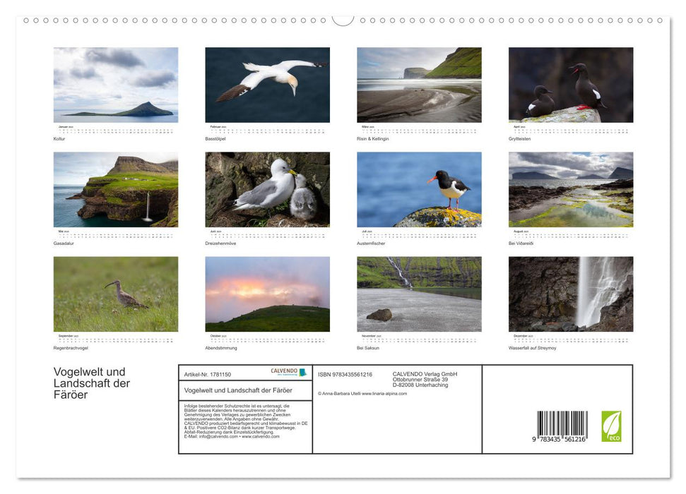 Vogelwelt und Landschaft der Färöer (CALVENDO Premium Wandkalender 2025)