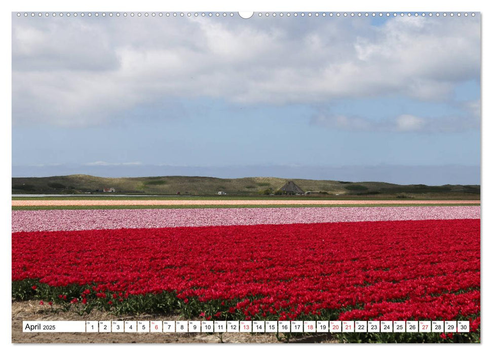 Callantsoog (CALVENDO Premium Wandkalender 2025)