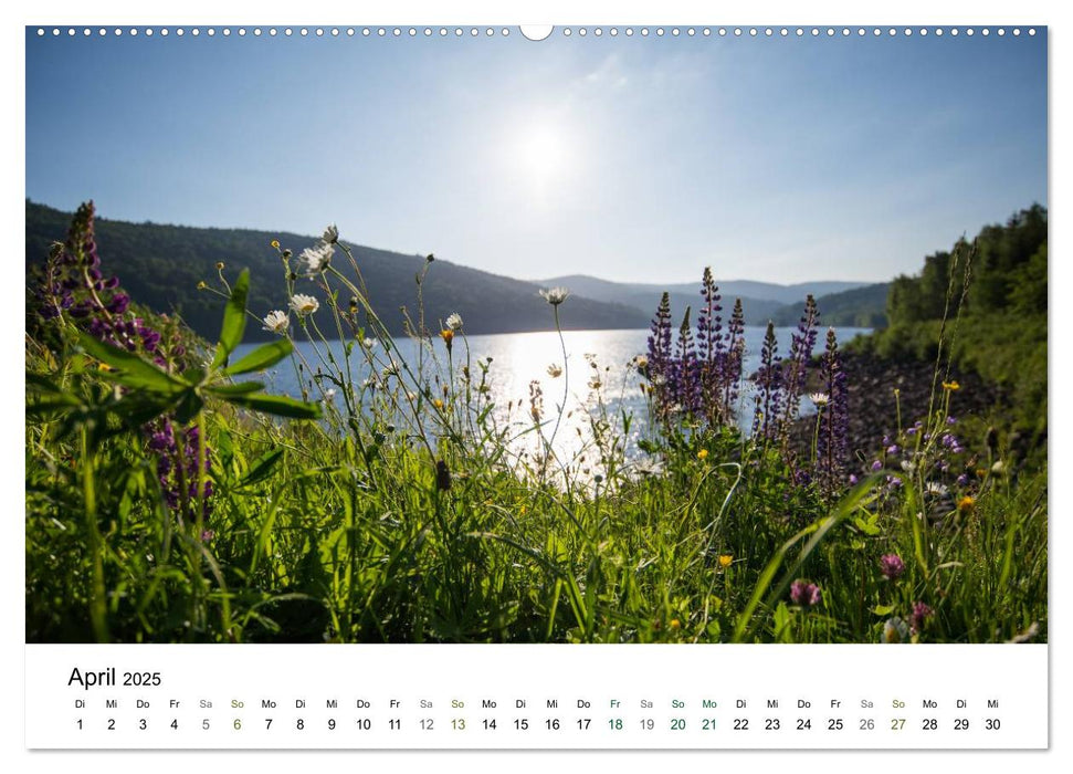 Traumlandschaften im Bayrischen Wald (CALVENDO Premium Wandkalender 2025)
