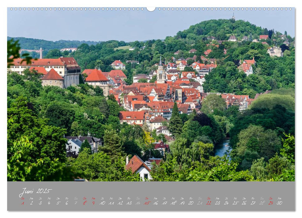 Zwölf Monate in Tübingen (CALVENDO Premium Wandkalender 2025)