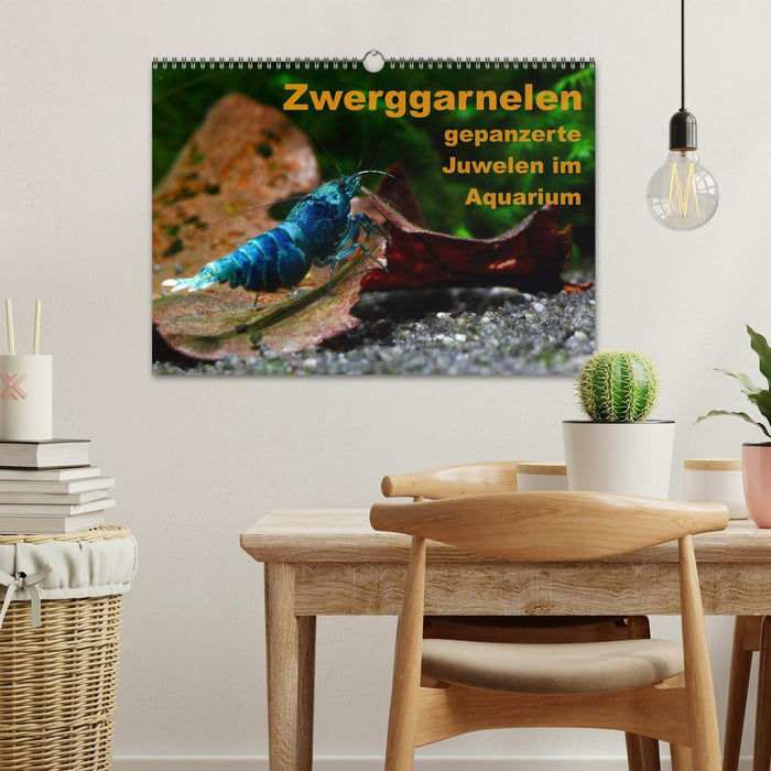 Zwerggarnelen - gepanzerte Juwelen im Aquarium (CALVENDO Wandkalender 2025)