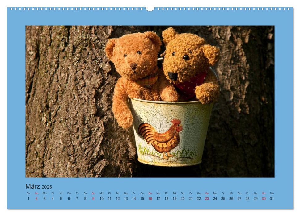 Teddys Meine Freunde (CALVENDO Premium Wandkalender 2025)