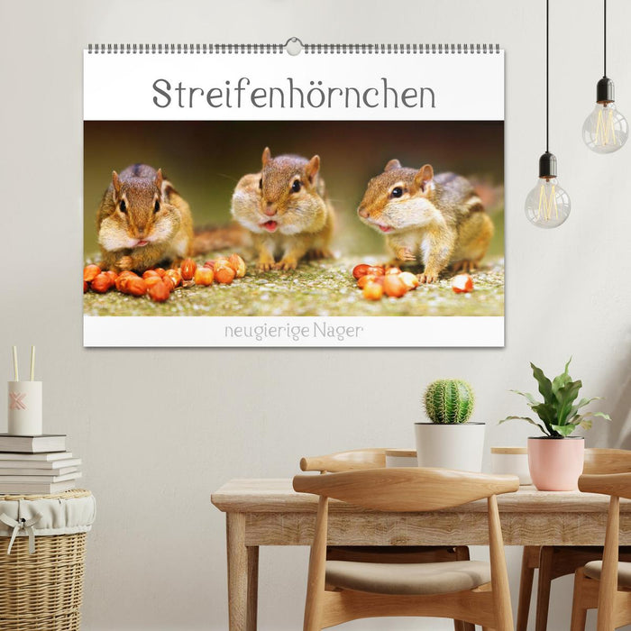 Streifenhörnchen - neugierige Nager (CALVENDO Wandkalender 2025)