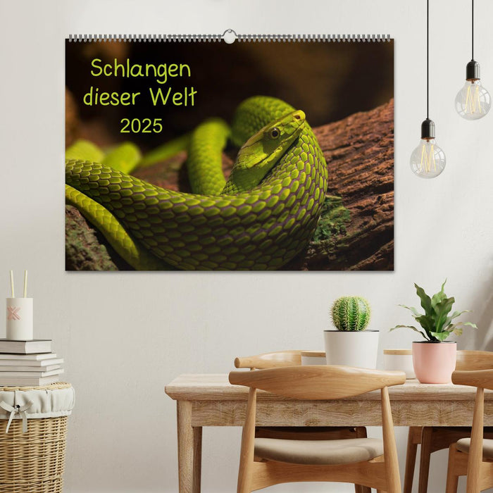 Schlangen dieser Welt (CALVENDO Wandkalender 2025)