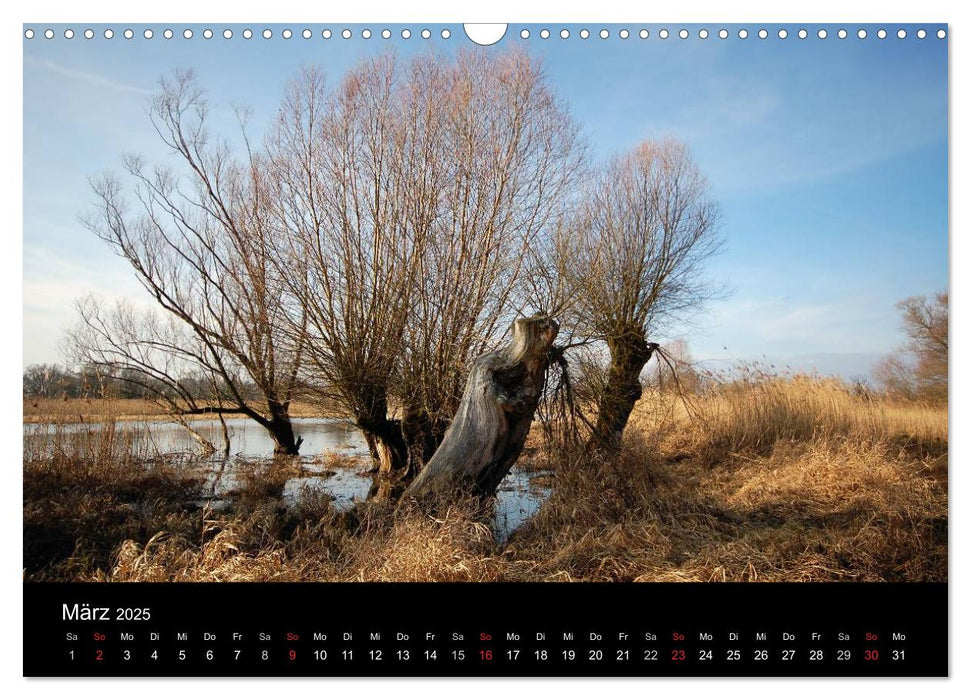 Vier Jahreszeiten im Havelland (CALVENDO Wandkalender 2025)