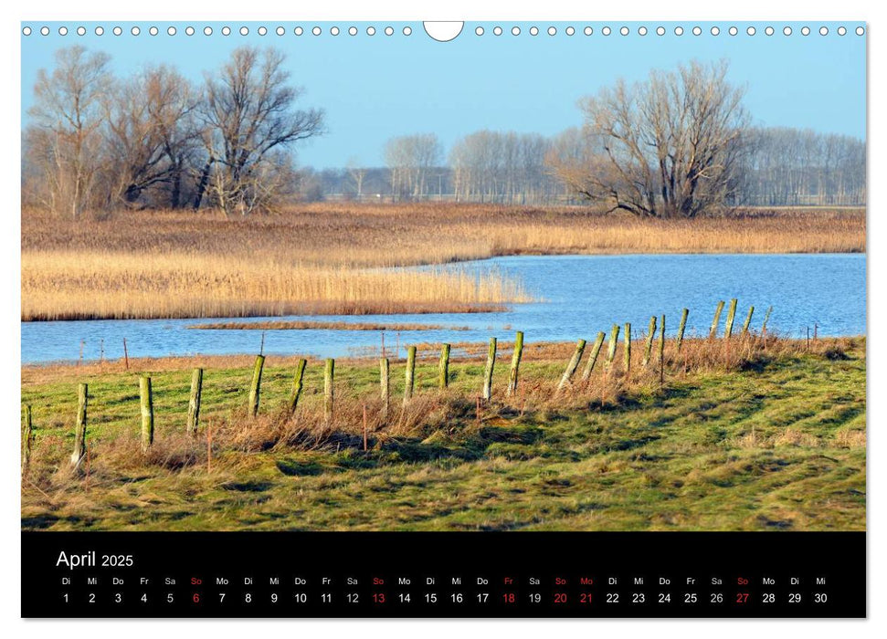 Vier Jahreszeiten im Havelland (CALVENDO Wandkalender 2025)