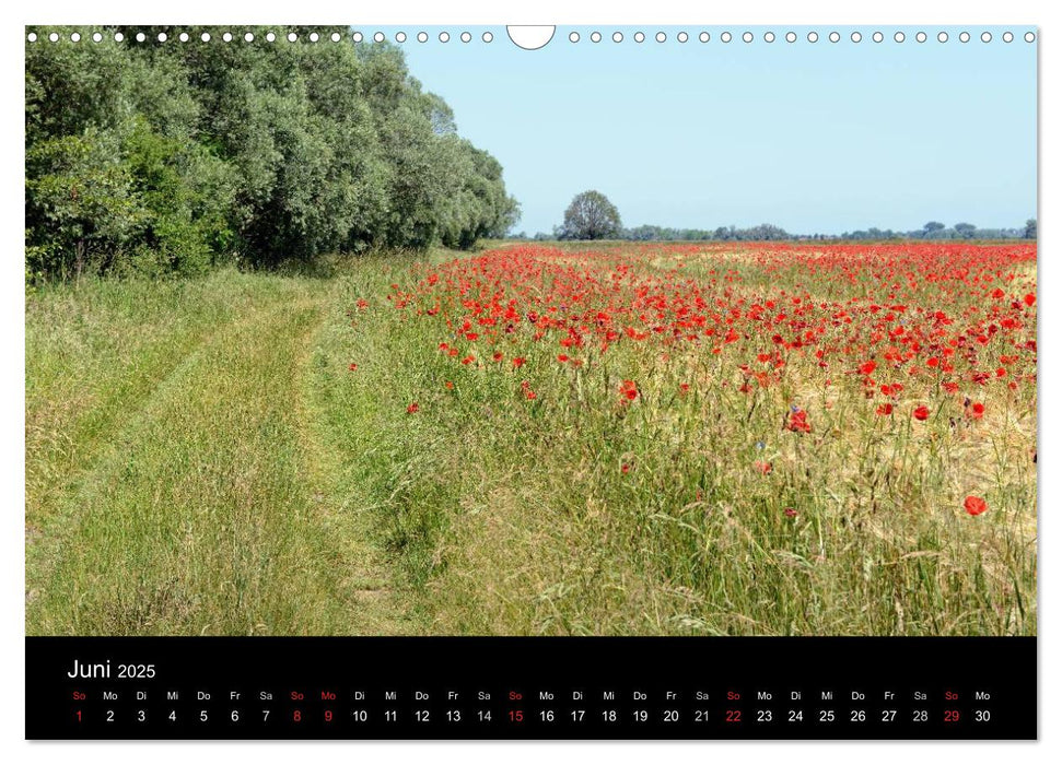 Vier Jahreszeiten im Havelland (CALVENDO Wandkalender 2025)