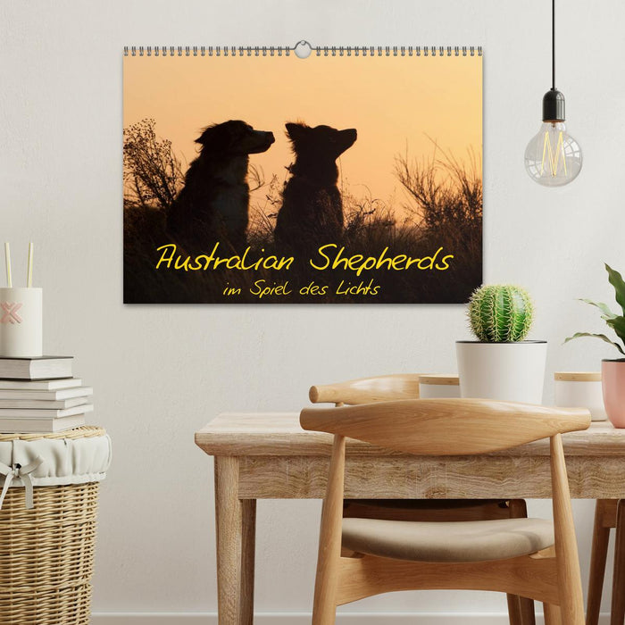 Australian Shepherds im Spiel des Lichts (CALVENDO Wandkalender 2025)