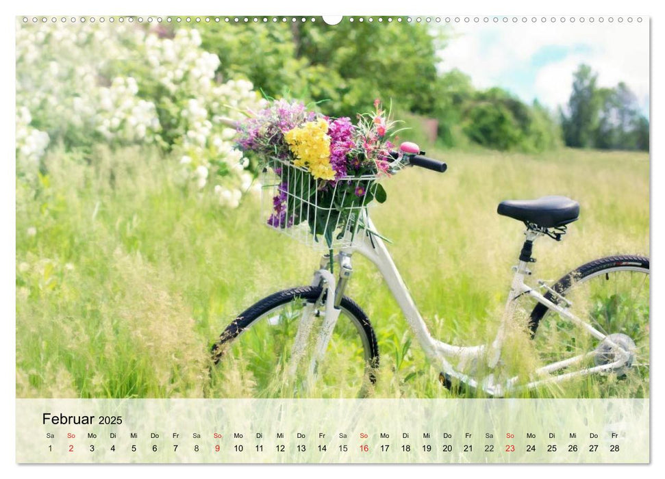 Landhaus-Romantik. Die Farben des Sommers (CALVENDO Premium Wandkalender 2025)