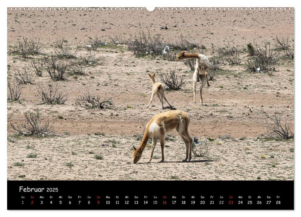 Traumziel Peru (CALVENDO Wandkalender 2025)