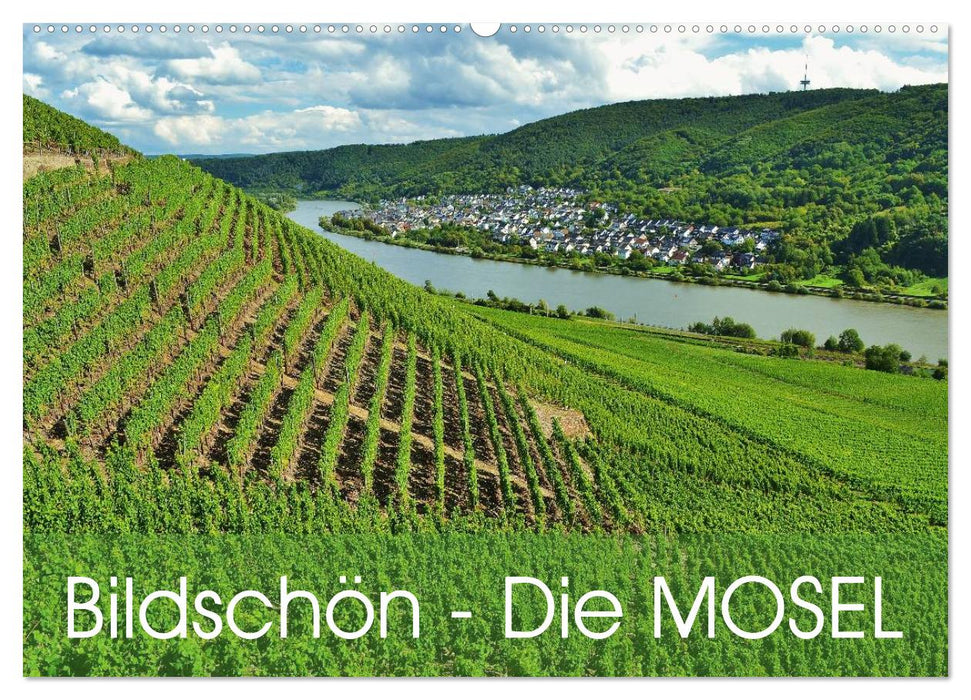 Bildschön - Die Mosel (CALVENDO Wandkalender 2025)