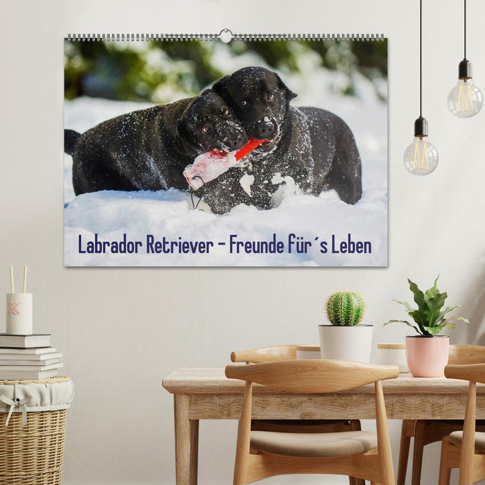 Labrador Retriever - Freunde für´s Leben (CALVENDO Wandkalender 2025)