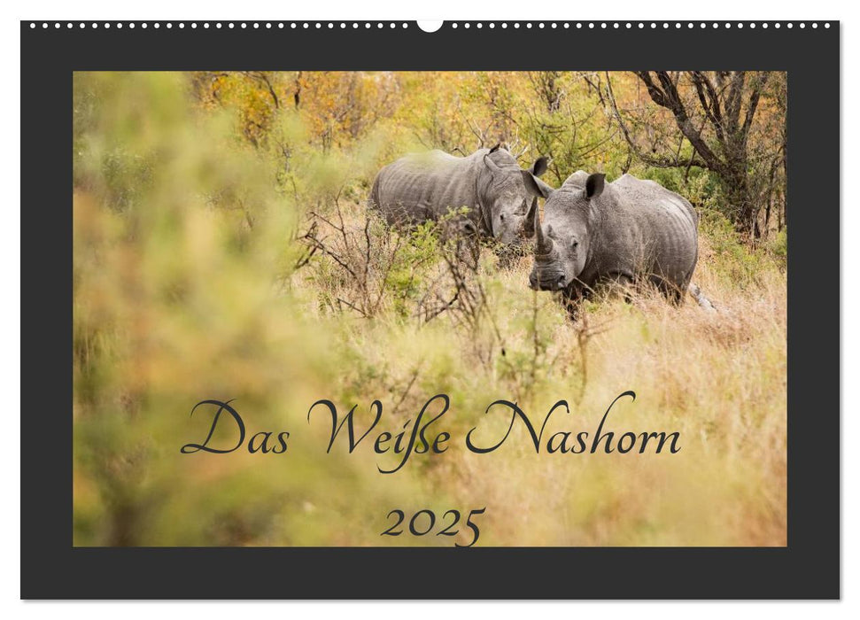 Das Weiße Nashorn (CALVENDO Wandkalender 2025)