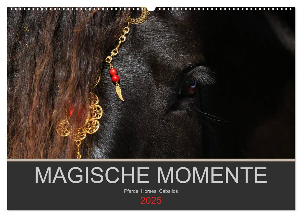 Magische Momente - Pferde Horses Caballos (CALVENDO Wandkalender 2025)