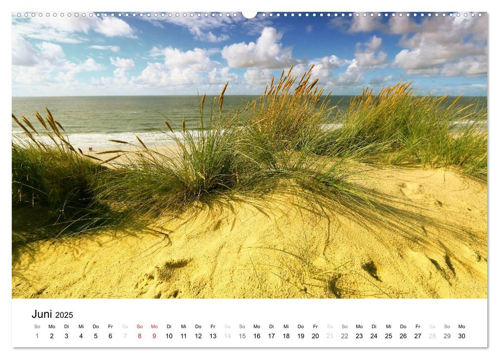 Sylt, der nordfriesische Inseltraum (CALVENDO Wandkalender 2025)