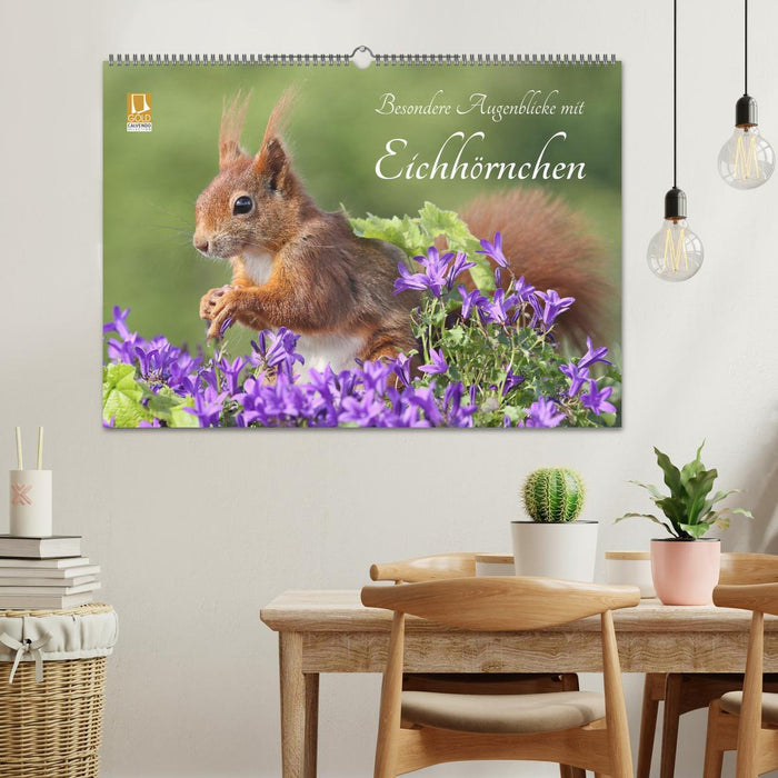 Besondere Augenblicke mit Eichhörnchen (CALVENDO Wandkalender 2025)