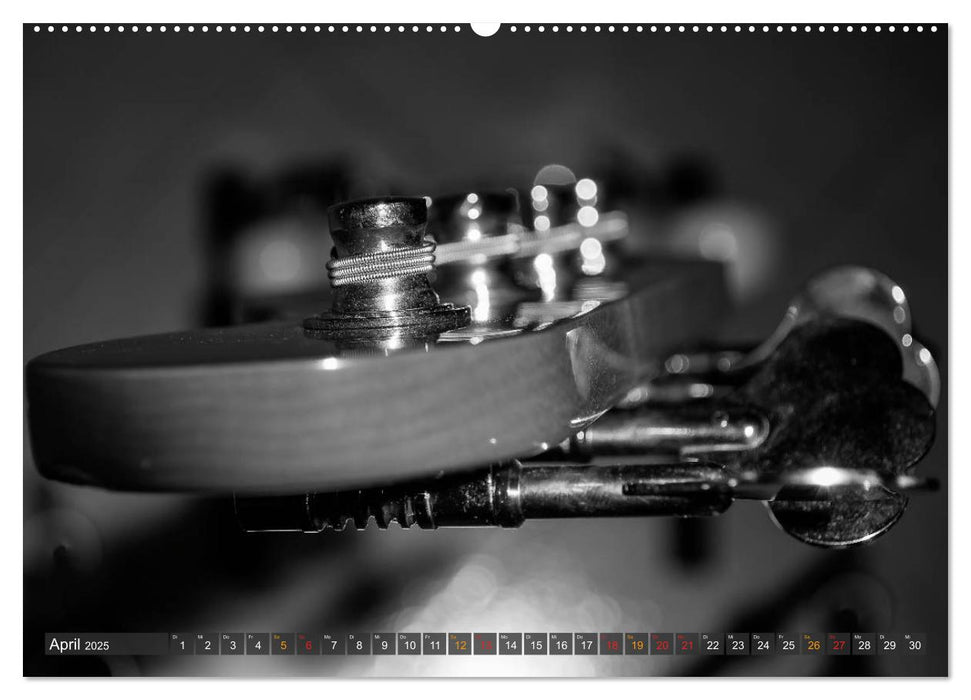 Bassgitarren - einfach cool (CALVENDO Wandkalender 2025)