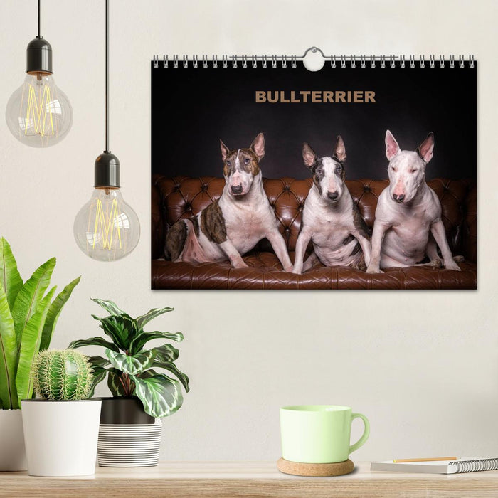 Bullterrier (CALVENDO Wandkalender 2025)